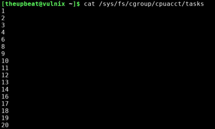 cat /sys/fs/cgroup/cpuacct/tasks
